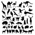 Big collection silhouettes animals and birds. Vector illustration. Isolated hand drawings on white background for design Royalty Free Stock Photo