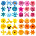 Big collection of various head flowers yellow, pink, blue and orange isolated on white background Royalty Free Stock Photo