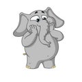 Big collection vector cartoon characters of elephants on an isolated background. Excited Surprised