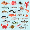 Big color flat sea animals and food icons for web and mobile design Royalty Free Stock Photo