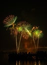 Big and colorful firework explode in dark sky in celebration time