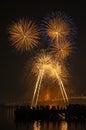 Big and colorful firework explode in dark sky in celebration time