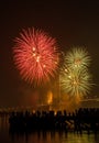 Big and colorful firework explode in dark sky in celebration time