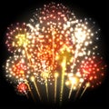Big colorful fireworks. Red and yellow lights. Vector