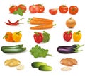 The big colorful group of vegetables. Photo-realis