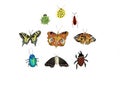 Big colorful hand drawn doodle set with insects. Beetle, butterfly, moth, worm collection in outline style. Isolated on