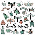 Big colorful hand drawn doodle set with insects Royalty Free Stock Photo