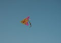 A flight of kite Royalty Free Stock Photo
