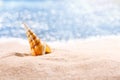 Big colorful seashell on a tropical yellow sand beach against a blue sea background. Place for text, close up Royalty Free Stock Photo