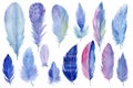 Big colorful set of bird feathers on white isolated background, watercolor illustration, hand drawing Royalty Free Stock Photo