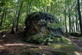 Big colourful sandstone rock spotted in Saxon Switzerland