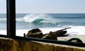 Big Colourful Wave in Portugal