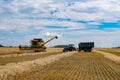 Big combine harvesting a gold wheat. Agricultural harvest farming. Royalty Free Stock Photo