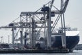 Big container ship in the process of loading by cranes at the port of Hamburg, Germany Royalty Free Stock Photo