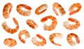 Big cooked peeled shrimps at various angles on white background
