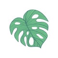 Big Cordate Tropical Leaf Hand Drawn Illustration Royalty Free Stock Photo