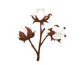 Big cotton flower branch vector illustration isolated on white background Royalty Free Stock Photo