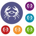 Big crab icons set