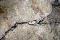 Big crack. A winding deep crack in an old stone wall. Copy space Royalty Free Stock Photo