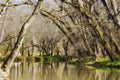 Big Creek at Amis Mill in Rogersville, Tennessee