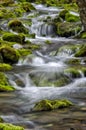 Big Creek Cave Falls over moss covered stones.