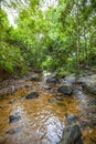 A big creek with a lot of stones and rocks and clear water