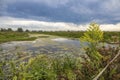 Big Creek National Wildlife Area, Ontario 2