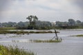 Big Creek National Wildlife Area, Ontario 6