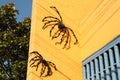 Big creepy spiders on yellow building wall. Halloween decor Royalty Free Stock Photo