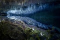 Big crocodile in green lake. crocodile is lying under water Royalty Free Stock Photo