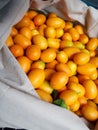 The big crop of small citrus