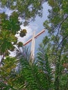 Big cross covered by tress and palms