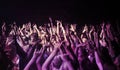 Big crowd, hands and people at music festival or concert, neon lights and energy at live event. Dance, fun and excited Royalty Free Stock Photo