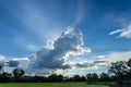 Big cumulus cloud Big rain clouds in the sky over the forest Royalty Free Stock Photo