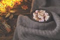 Big cup of hot cocoa with marshmallow, cinnamon and nurs and warm blanket on an old vintage wooden and Christmas light.