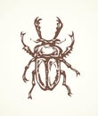 Lucanus cervus. Vector drawing Royalty Free Stock Photo