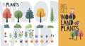 Big cute vector cartoon collection of wild woodland forest plants: trees, bushes, mushrooms, flowers, berries, leaves