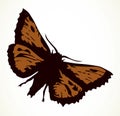 Night butterfly. Vector drawing icon Royalty Free Stock Photo