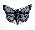 Night butterfly. Vector drawing icon Royalty Free Stock Photo