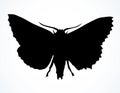 Night butterfly. Vector drawing icon Royalty Free Stock Photo