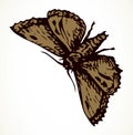 Night butterfly. Vector drawing icon Royalty Free Stock Photo