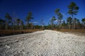 Big Cypress National Preserve Royalty Free Stock Photo