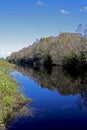 Big Cypress National Preserve Royalty Free Stock Photo