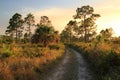 Big Cypress National Preserve