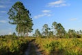 Big Cypress National Preserve