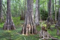 Big Cypress National Preserve Florida