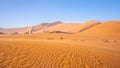 Big Daddy Dune, Sossusvlei, Namib-Naukluft National Park, Namibia. Royalty Free Stock Photo