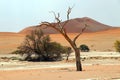 Big Daddy sand dune Sossusvlei - Namibia Africa Royalty Free Stock Photo