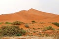 Big Daddy sand dune Sossusvlei - Namibia Africa Royalty Free Stock Photo