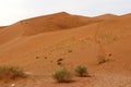 Big Daddy sand dune Sossusvlei - Namibia Africa Royalty Free Stock Photo